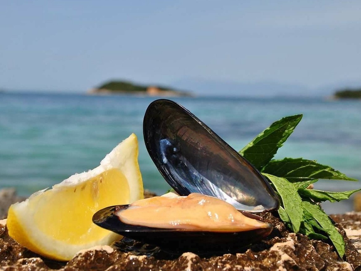 Authentic Mussel Tour in Ksamil |  Ksamil Explore,  Ksamil, Albanian